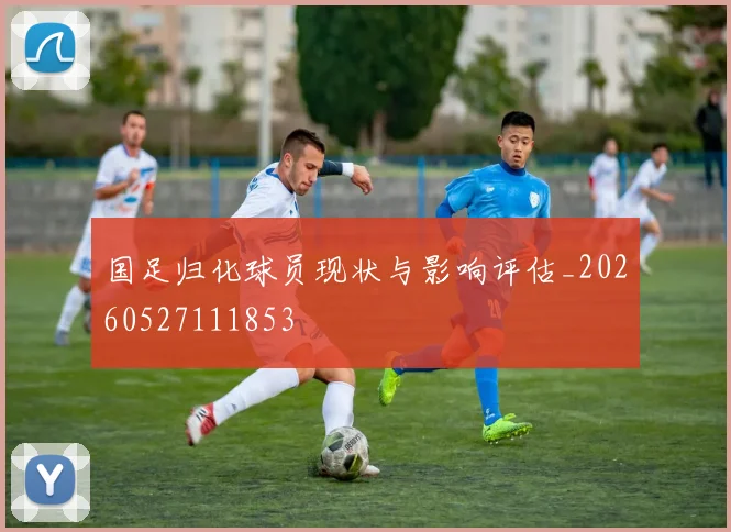 国足归化球员现状与影响评估_20260527111853